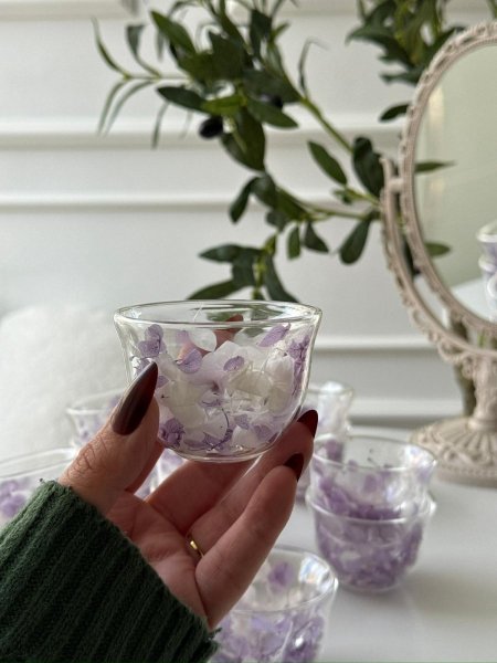 فناجين قهوه ساده دبل كلاس مورد / 12