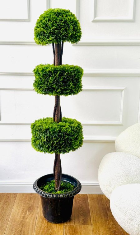 شجر زينه مع قوار 120 سم