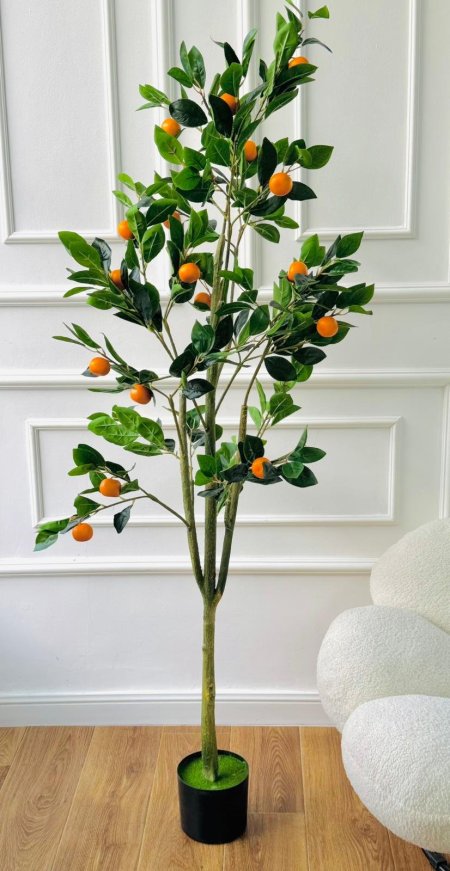 شجر برتقال 165 سم