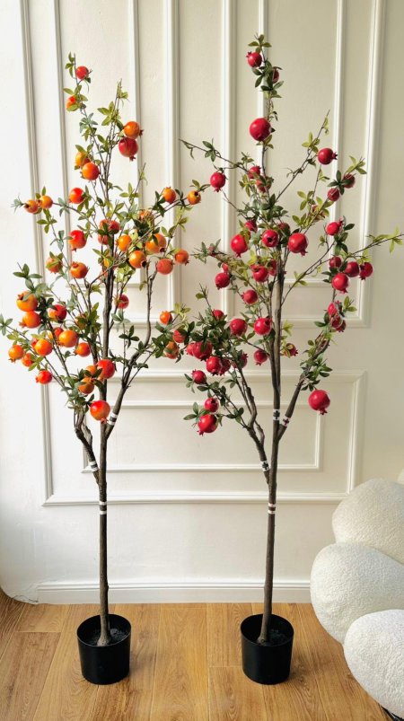 شجر رمان 180 سم