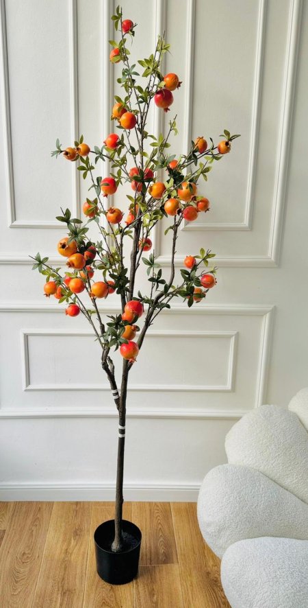 شجر رمان 180 سم